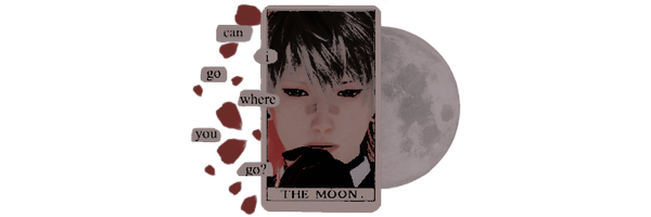 florcarmesii Profile Banner