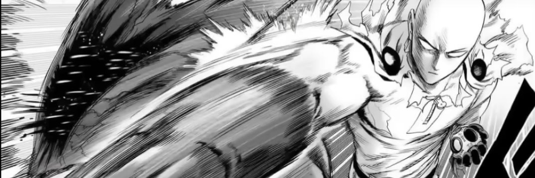 spacebirdw banner