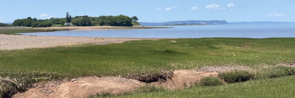 scottmacintosh4 Profile Banner