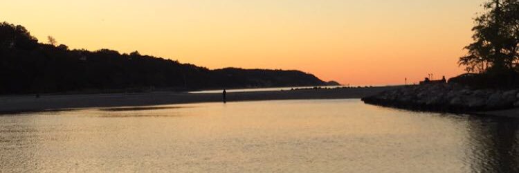 MattMcAlpine41's profile banner image