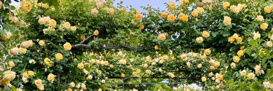 positive_days66's profile banner image