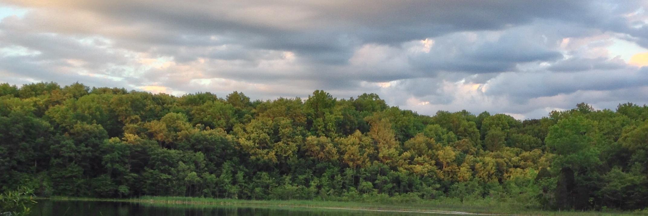 theROOTSproject's profile banner image