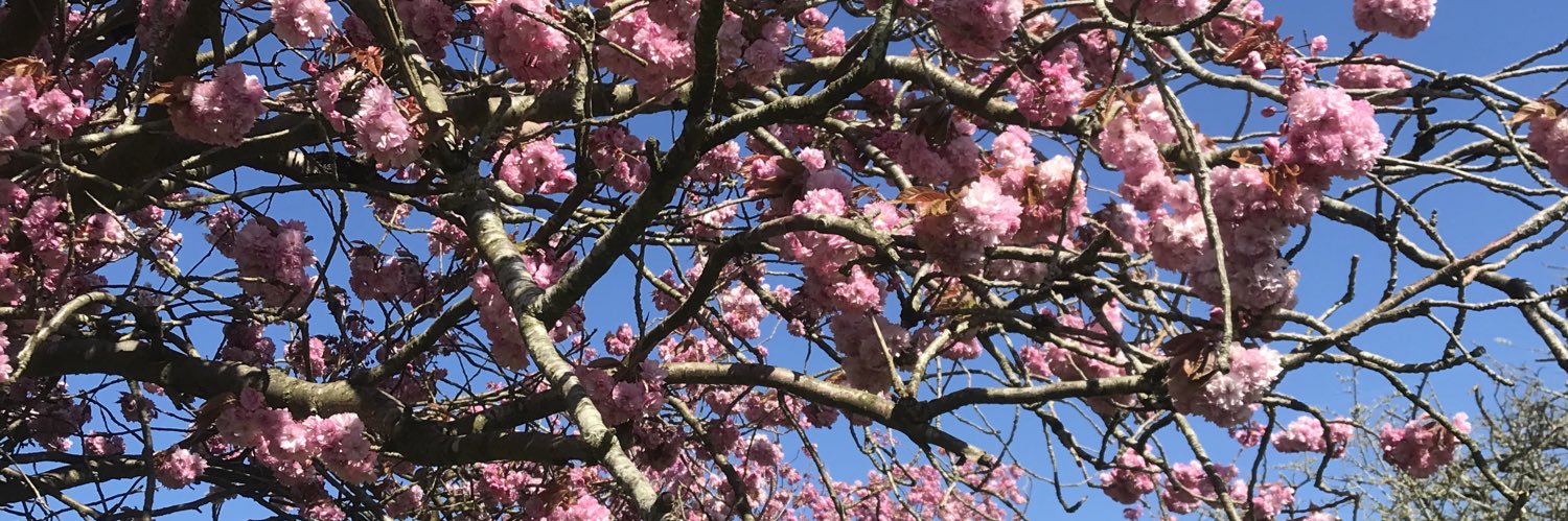 Michael Goode banner