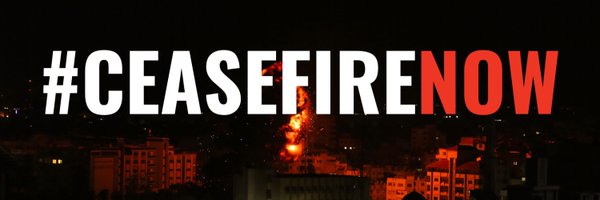 bernies_cat Profile Banner