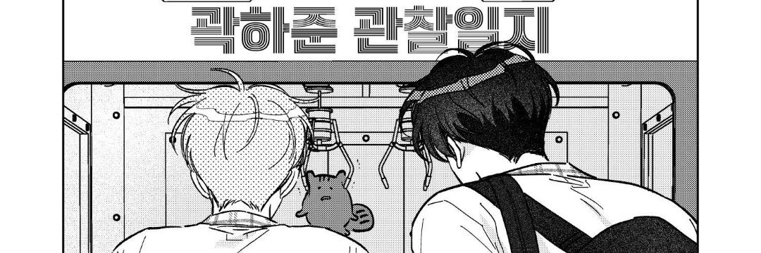 卡永 banner