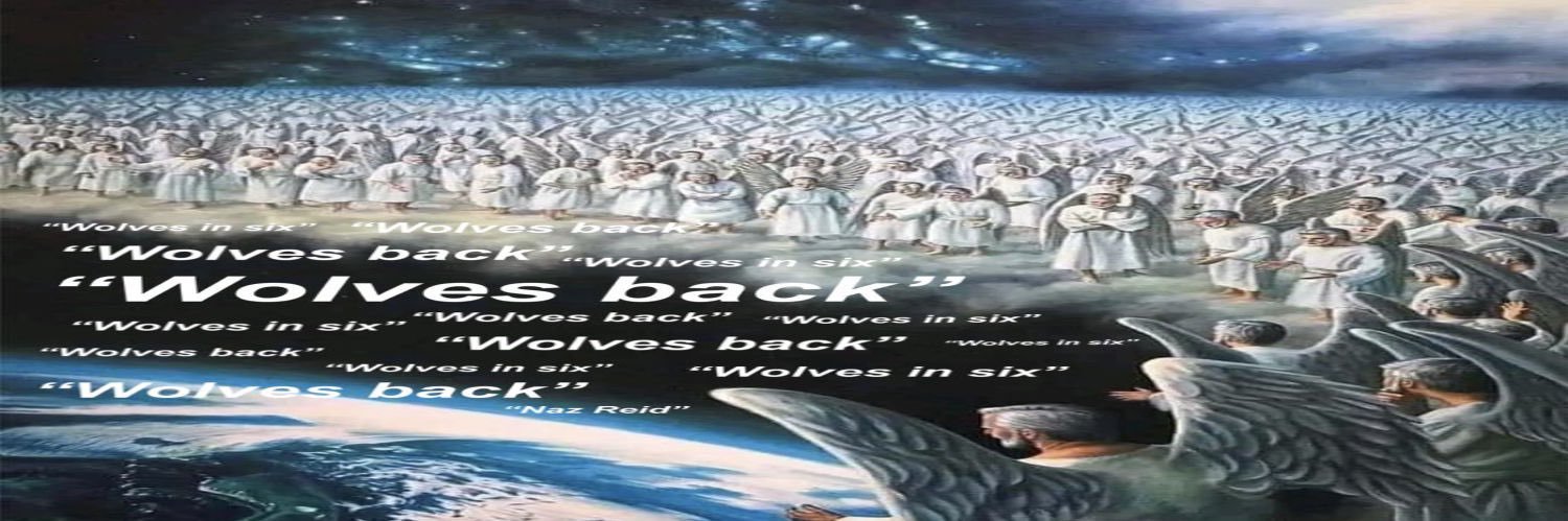 WolvesHype banner