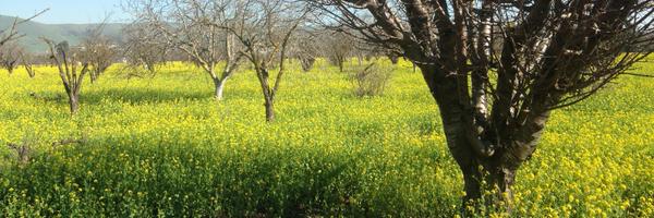 JamesReber Profile Banner