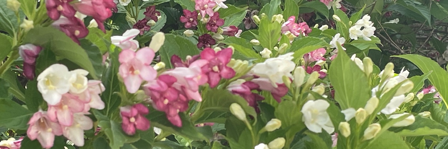るん banner