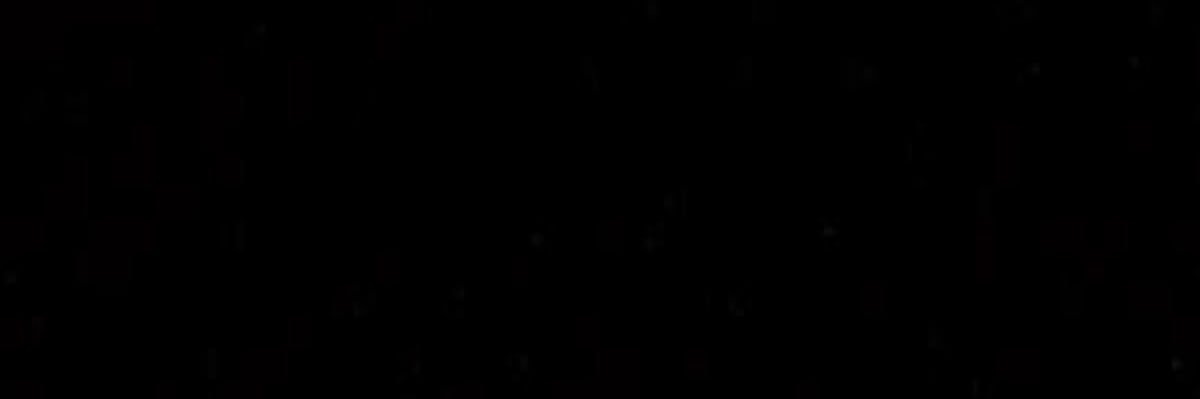 manu banner