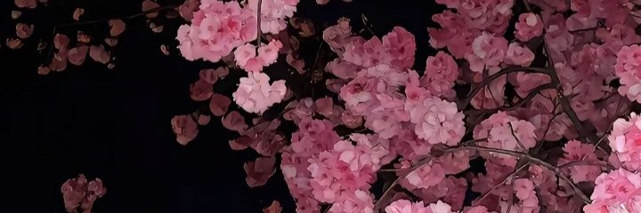 de_shuo67408's profile banner image