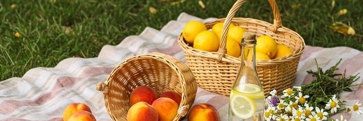 cepetberes🪄🍃 banner