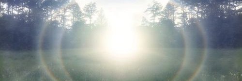 Sykanickname banner