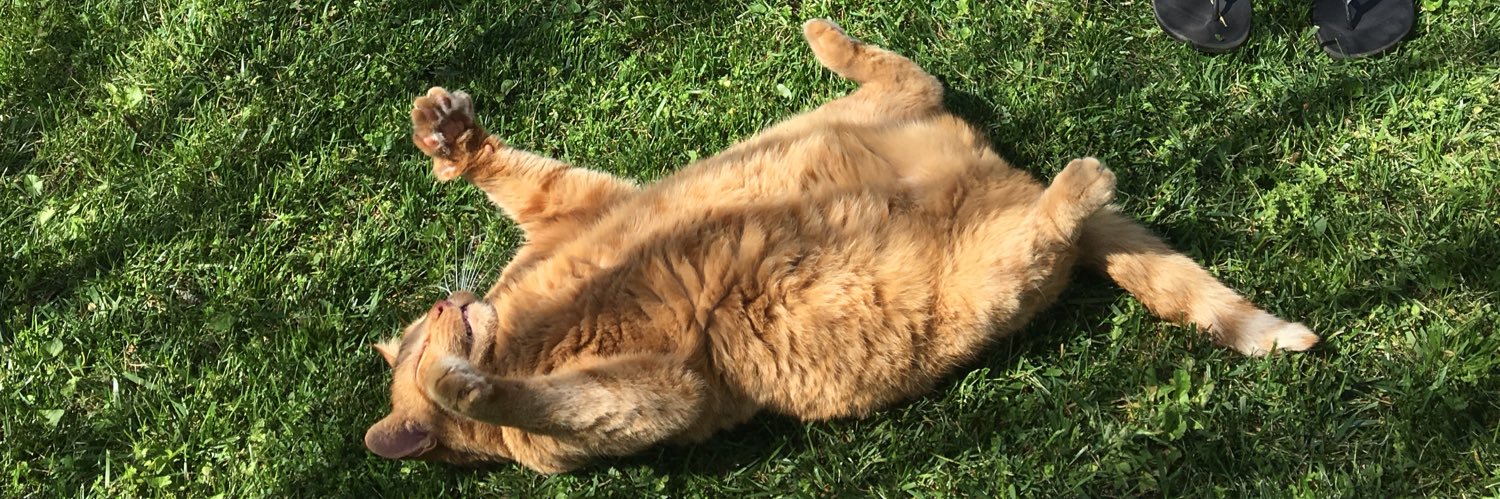 boopablecats's profile banner image