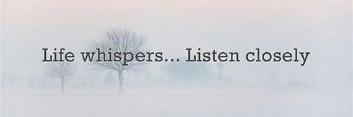 pamdecember's profile banner image