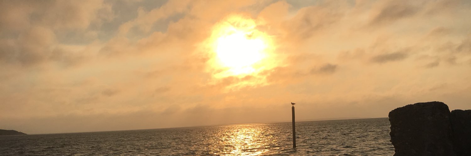 rossgeier's profile banner image
