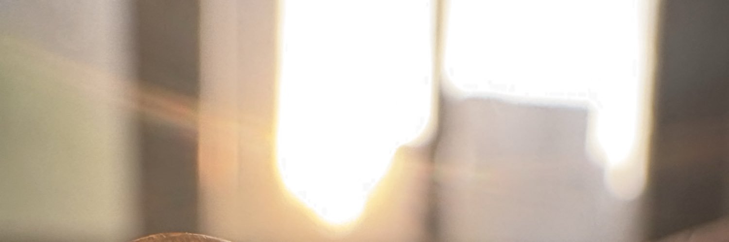 Inno banner