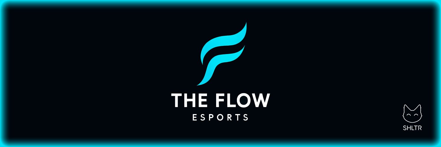 The Flow banner