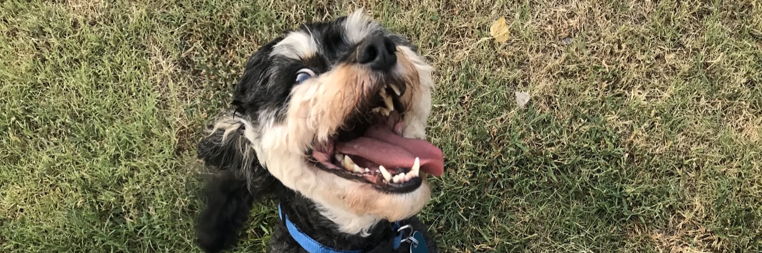 lexiecjohnson's profile banner image