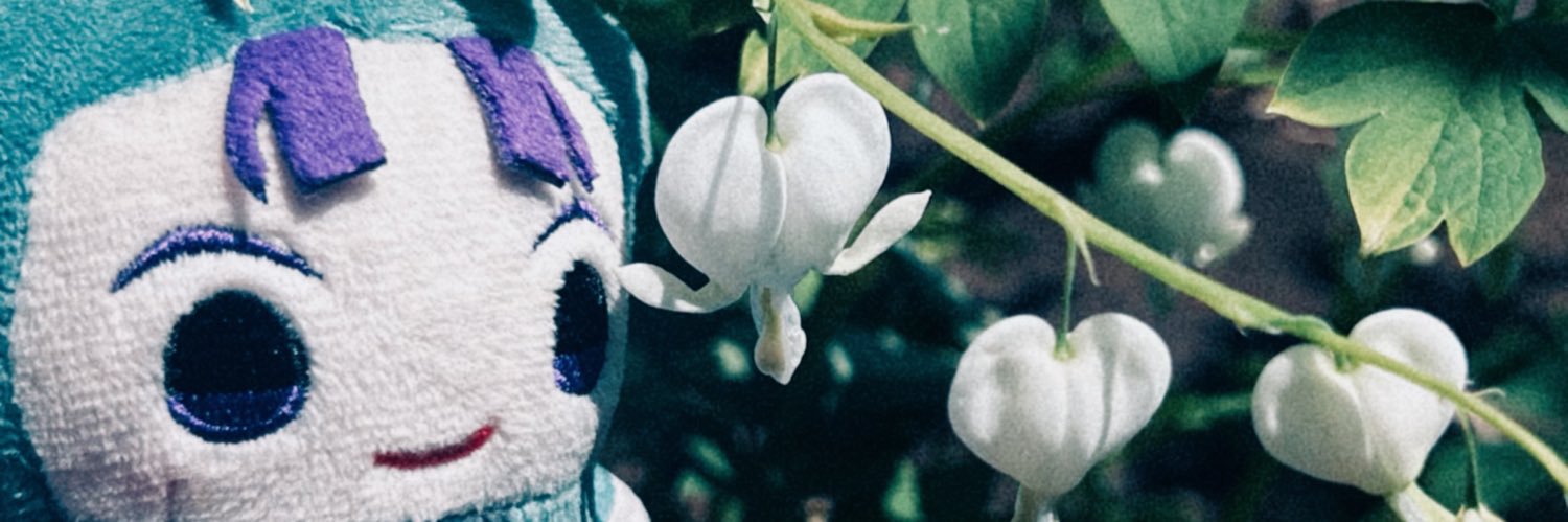 snow banner