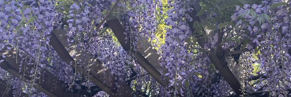 osxp_ Profile Banner