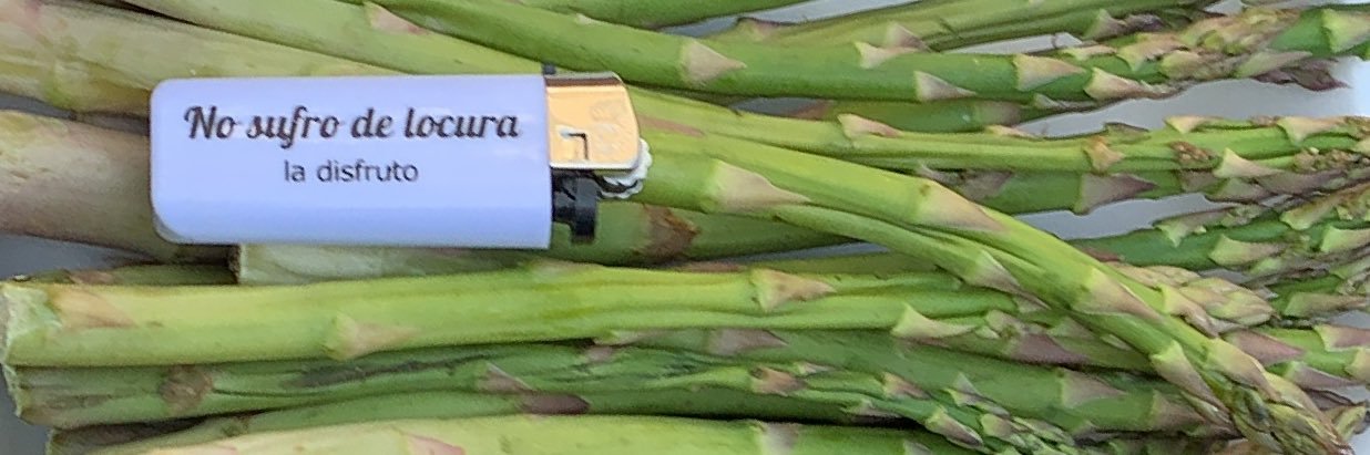 SMZ banner