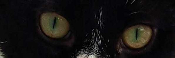 Itsumi456 - Vtuber innit banner