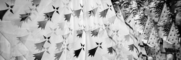 SterennTorrPenn Profile Banner