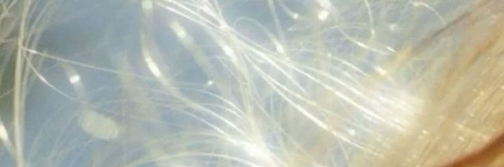 aei ★ lolos fkui 2026 banner