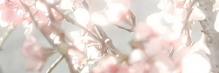 R0adkill5's profile banner image