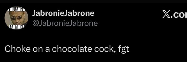 Metallic_Link Profile Banner