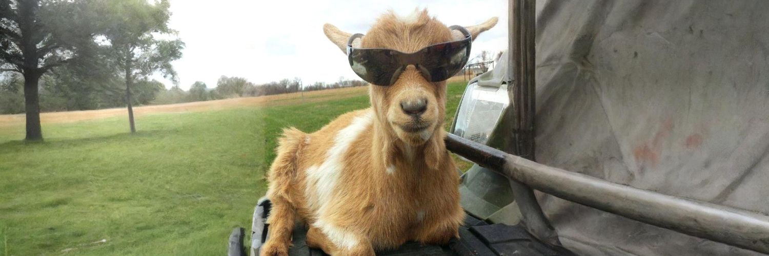 did luke score points in sf today? banner