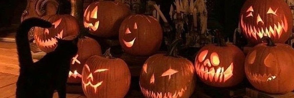 cupcakesprickle's profile banner image
