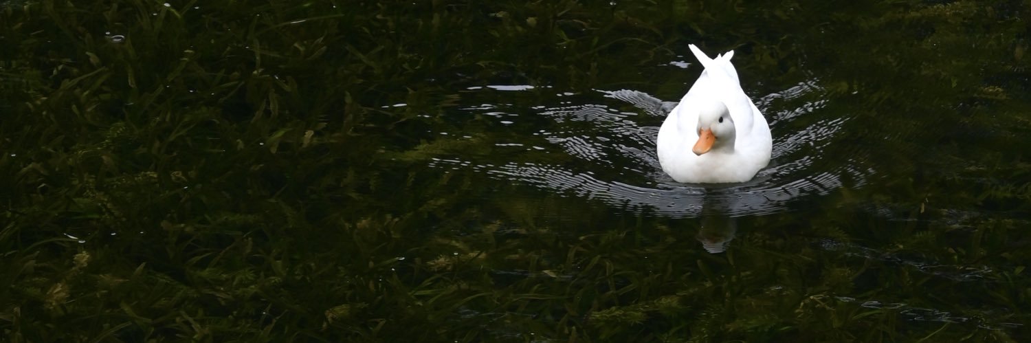 一天吃八顿 banner