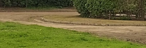 Guenis61 Profile Banner