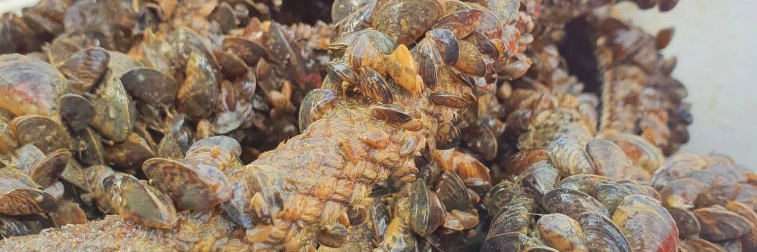 Biosecurity Steph banner