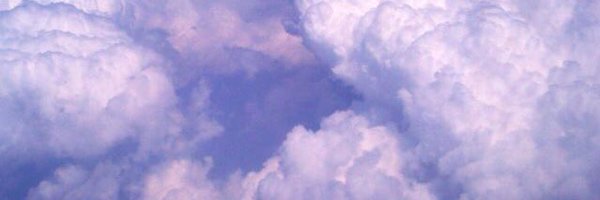 dongottti Profile Banner