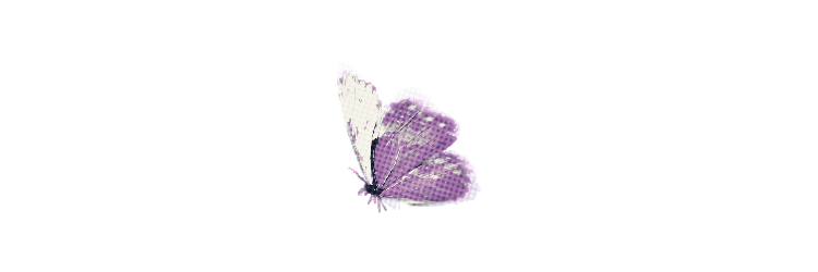 queencrds's profile banner image
