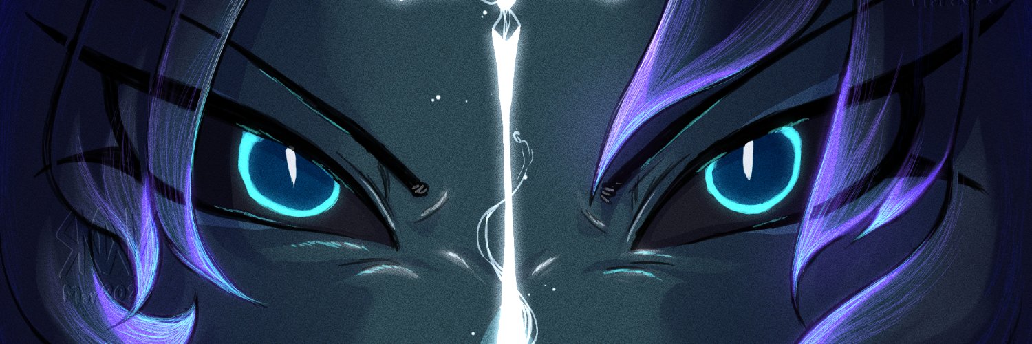 Snowz banner