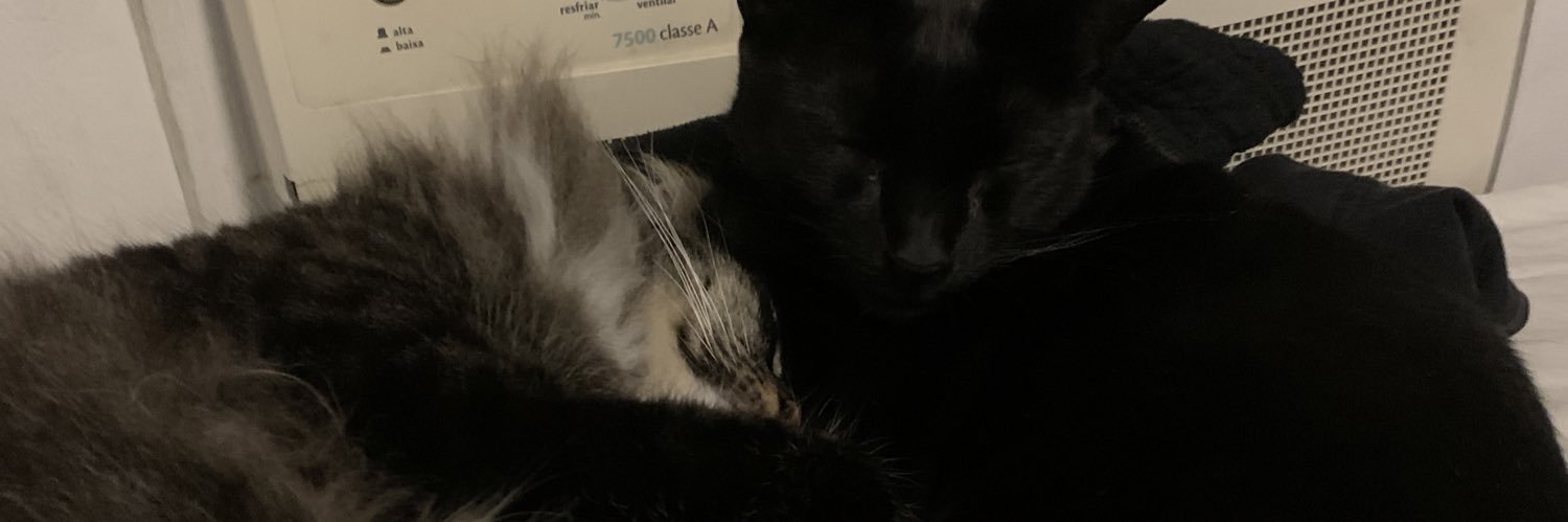 IsabeleNovaes3's profile banner image