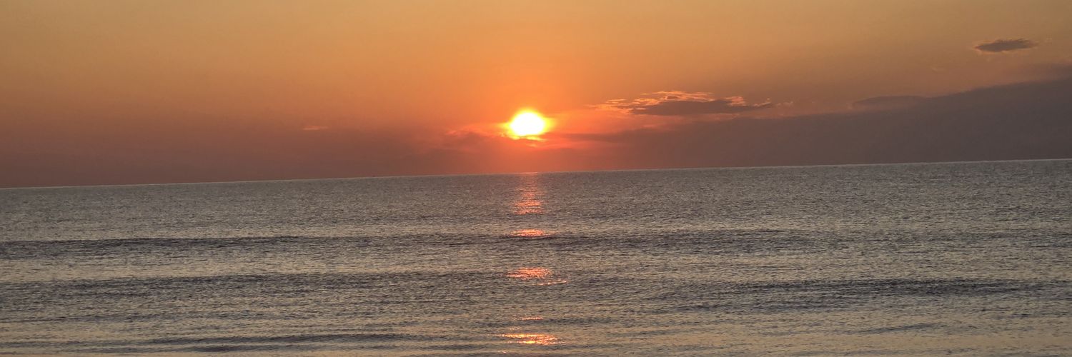TCDDK56's profile banner image