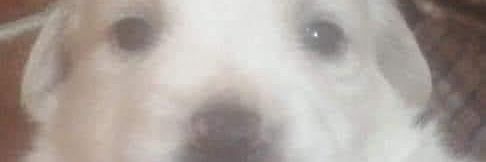 RandyBr27's profile banner image
