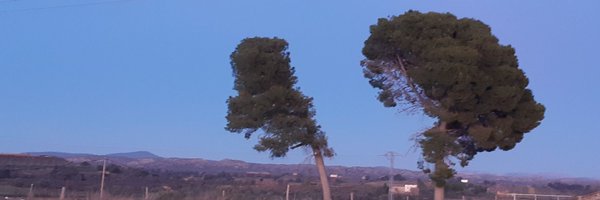 erikalopezpalma Profile Banner