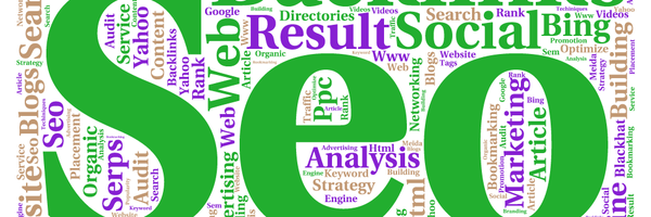 seolinksbuild Profile Banner