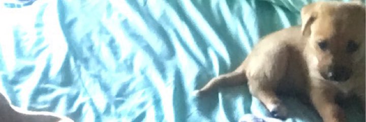 bricalvillo's profile banner image
