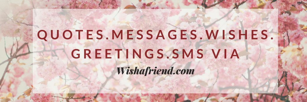 wishafriend's profile banner image