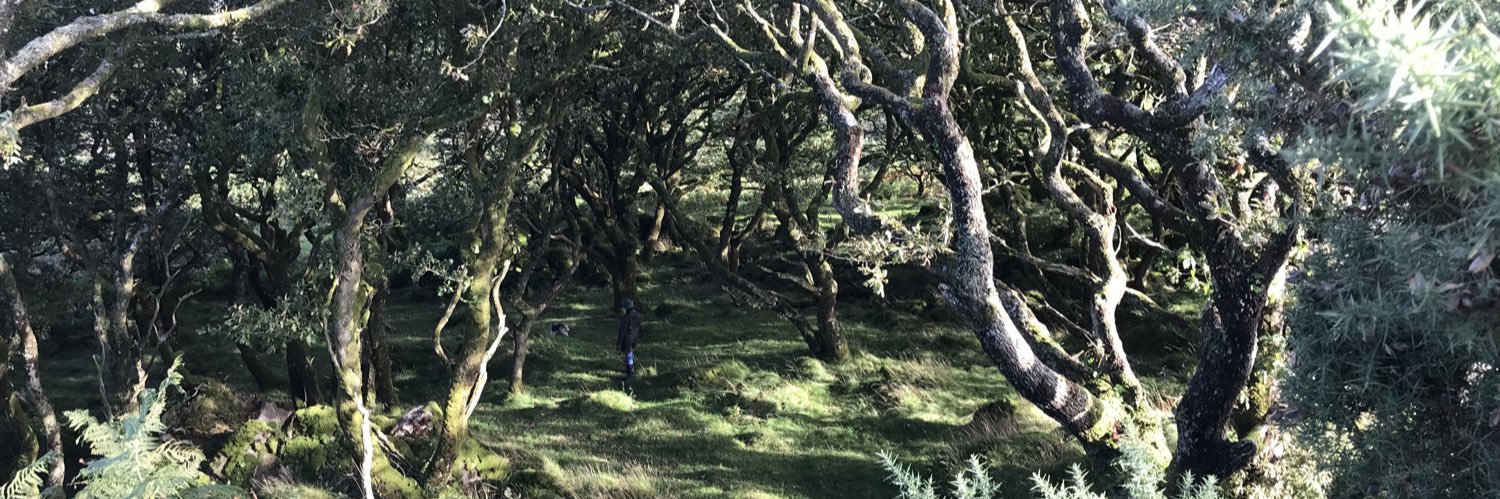 𝗦𝗮𝗺 𝗩𝗶𝗰𝗮𝗿𝘆 banner