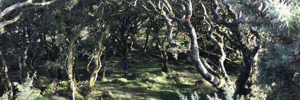 SamVicary Profile Banner