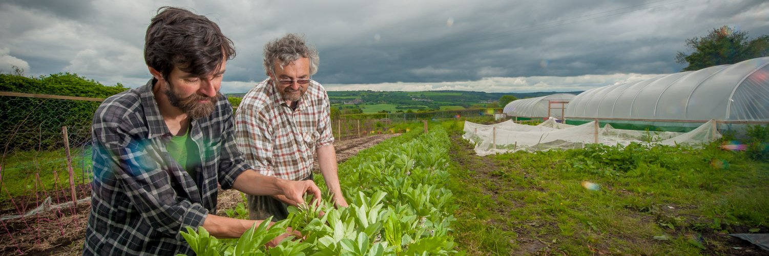 GoLocalFood's profile banner image
