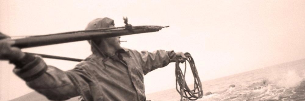 surfleopard's profile banner image