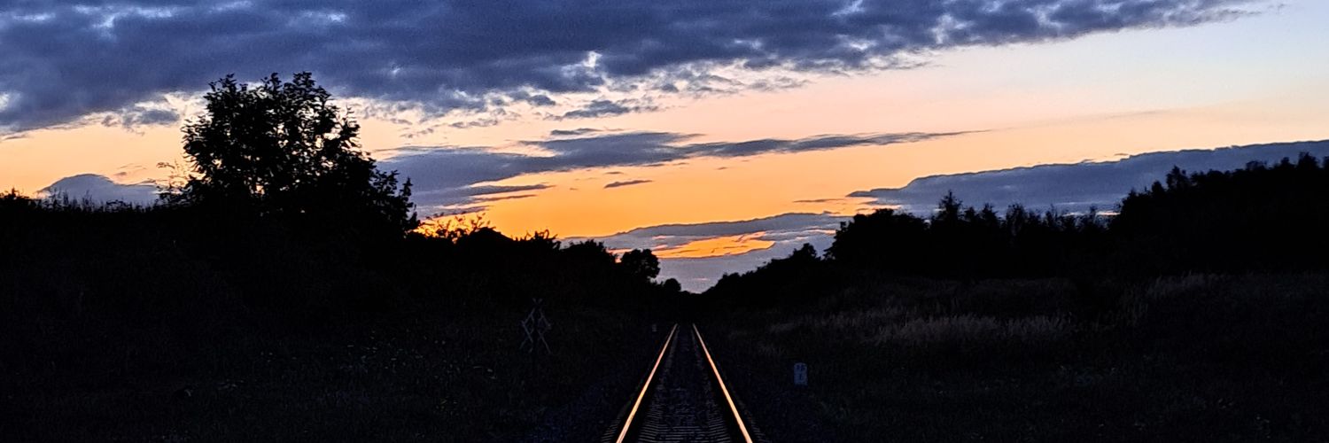 manedbiscuit's profile banner image